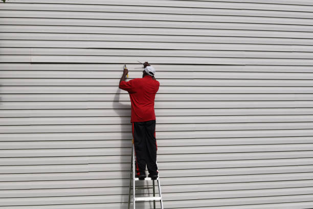Best Composite Siding  in Wyandotte, MI